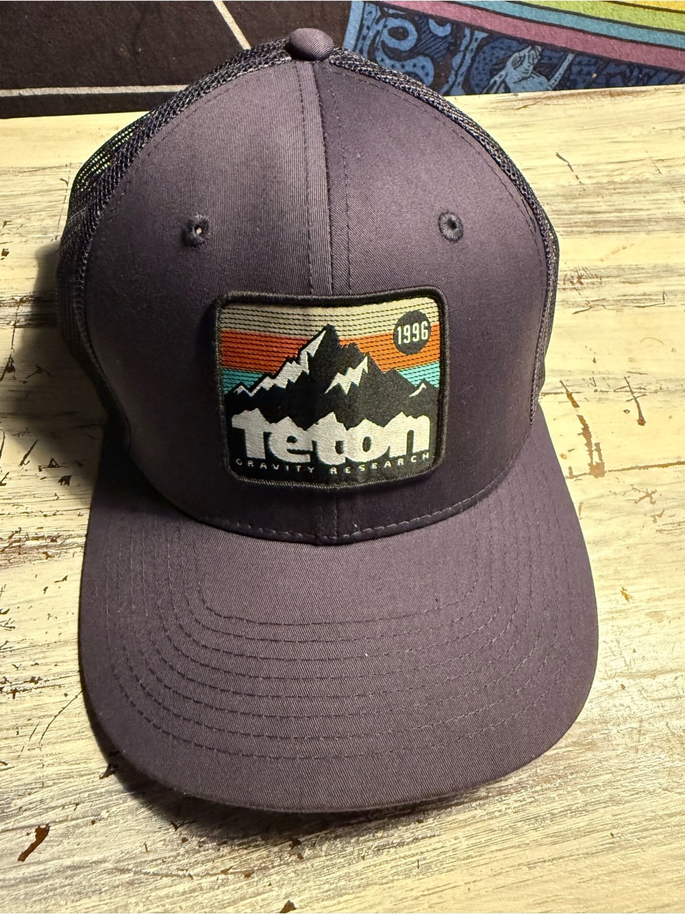 Teton Gravity Research Men's Purple Trucker Hat
